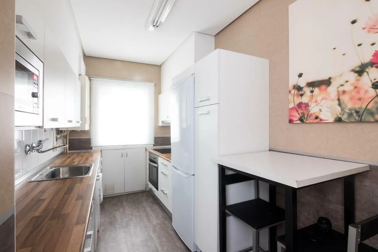 Downtown Apartment 圣塞瓦斯蒂安